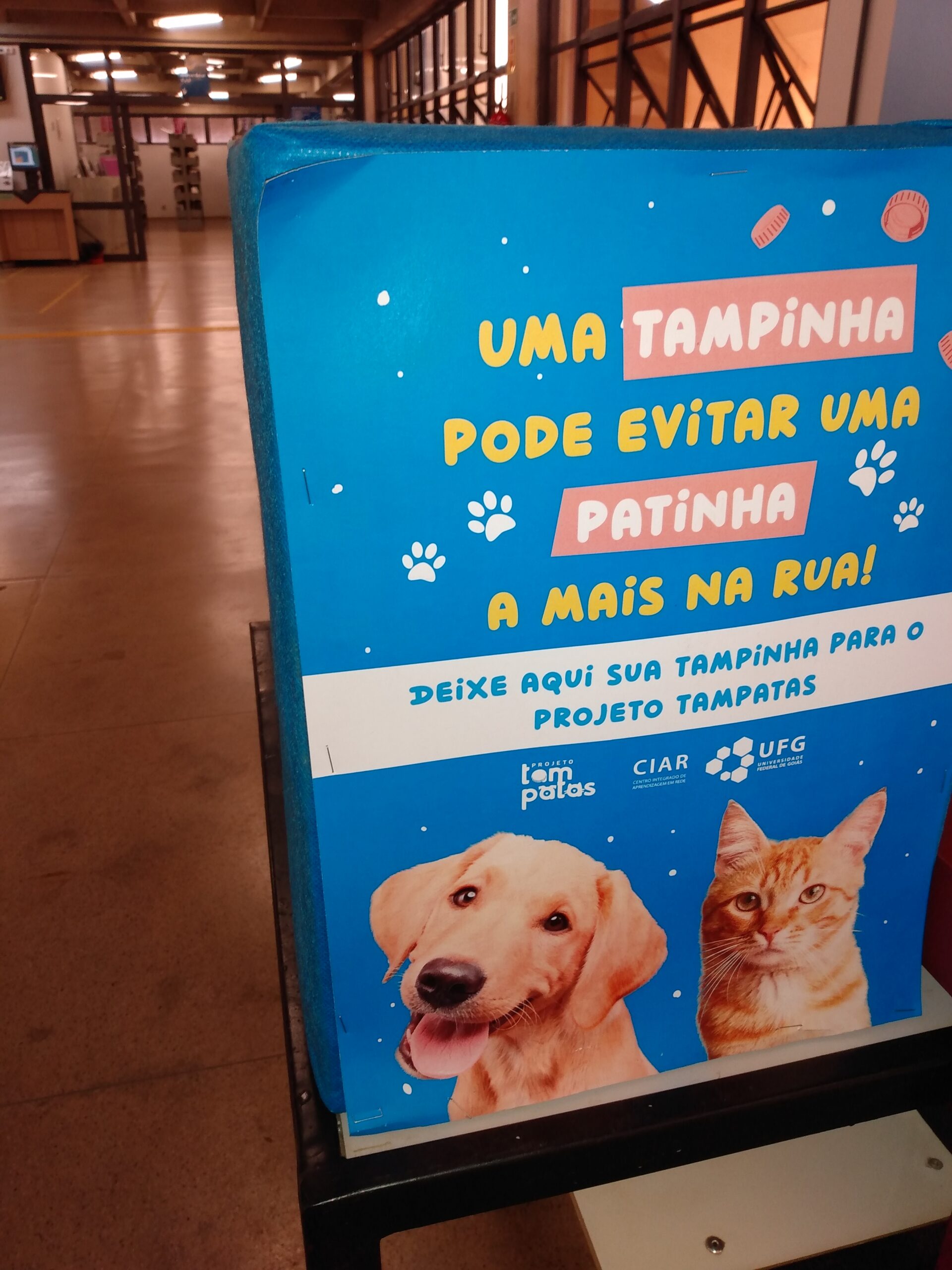 Caixa azul com "uma tampinha pode evitar uma patinha a mais na rua! Deixe aqui sua tampinha para o projeto tampatas" com a ilustração de um cachorro e um gato. Ao fundo está a Biblioteca Central da UFG.