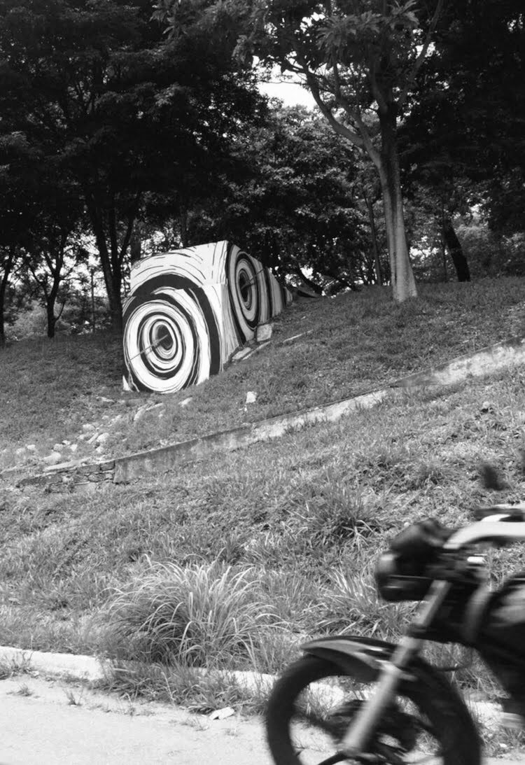 fotografia de obra de arte na Marginal Botafogo