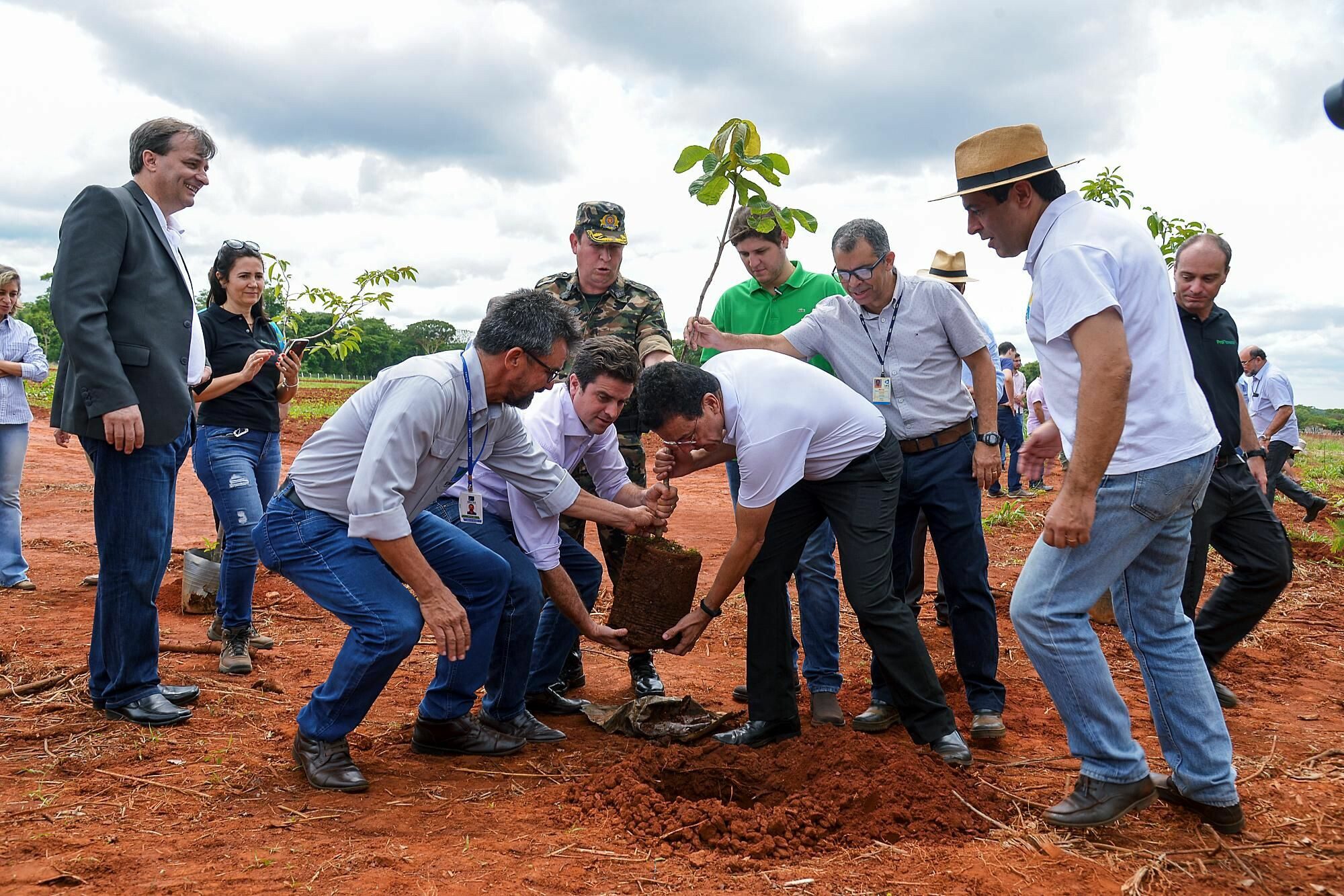 Virada Ambiental: projeto da UFG visa reverter os danos do desmatamento no Cerrado