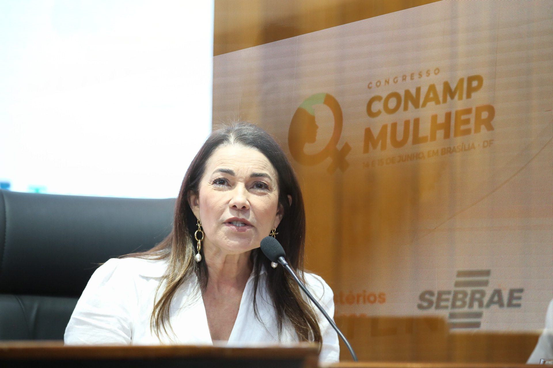 Foto da diretora do Sebrae no Congresso