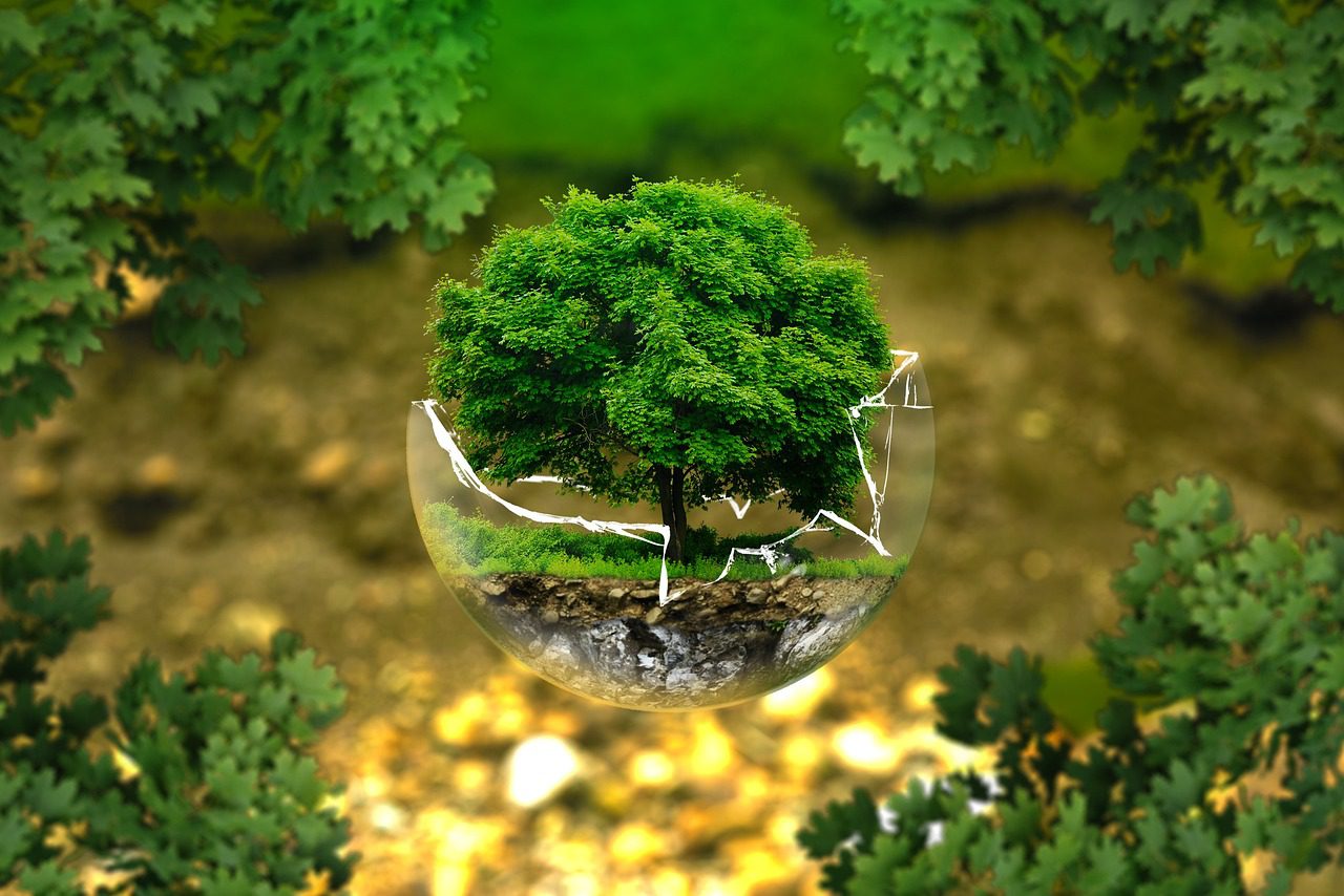 foto da natureza