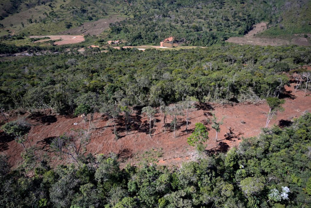 Agropecuária