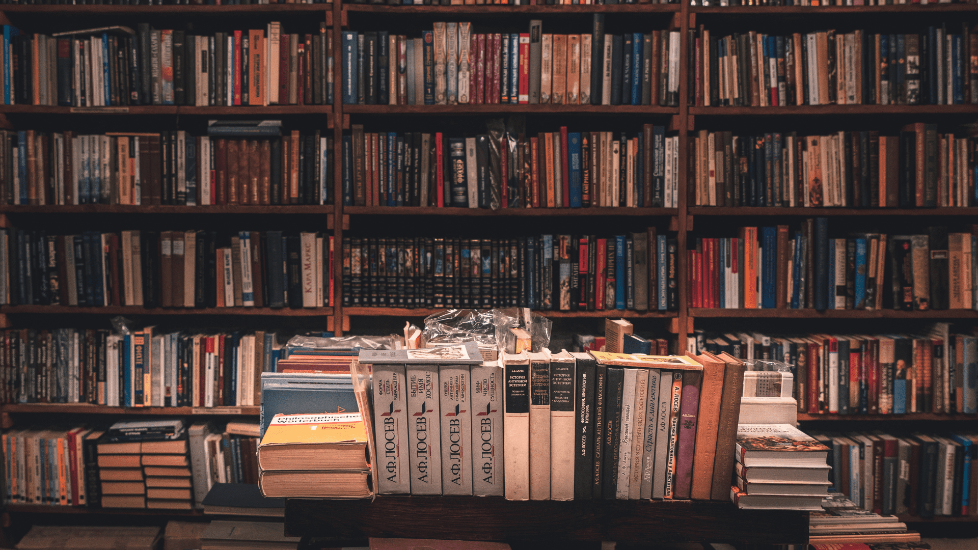 (Foto: Reprodução/Canva)