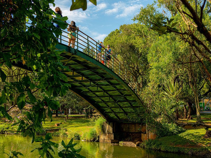 Ponte do parque Ibirapuera