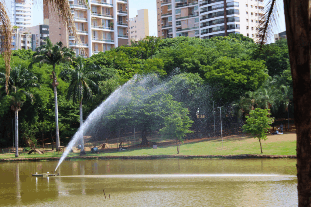 Chafariz do lago do parque Vaca Brava