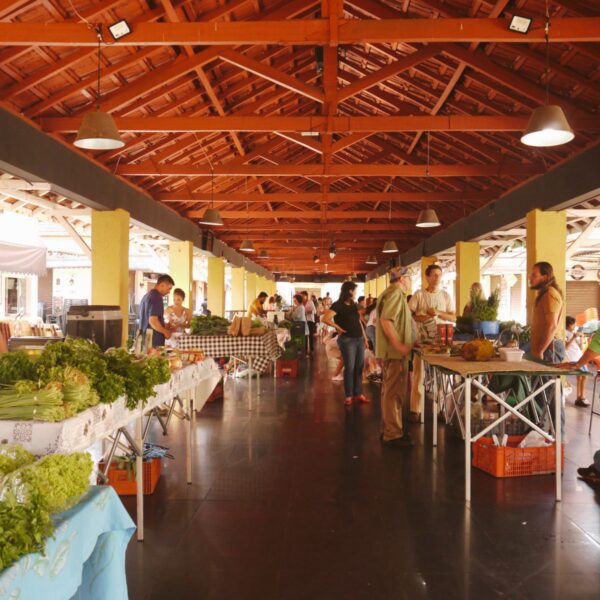 Da semente à mesa: há 26 anos, agricultores orgânicos em Goiás atuam para oferecer alimentos saudáveis e a preço justo à população