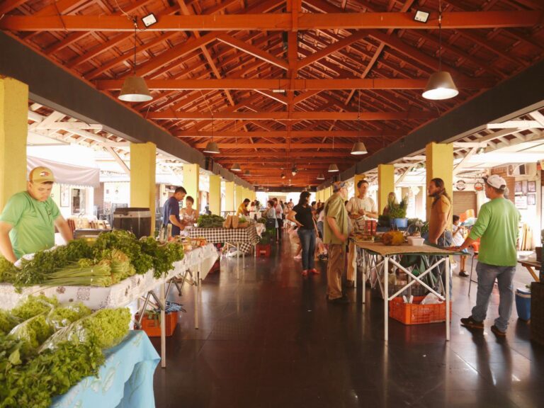 Da semente à mesa: há 26 anos, agricultores orgânicos em Goiás atuam para oferecer alimentos saudáveis e a preço justo à população