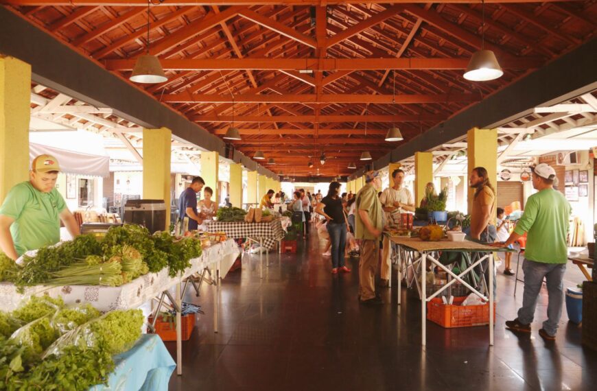 Da semente à mesa: há 26 anos, agricultores orgânicos em Goiás atuam para oferecer alimentos saudáveis e a preço justo à população