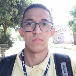 JOAO VITOR PEREIRA SILVA ALVIM